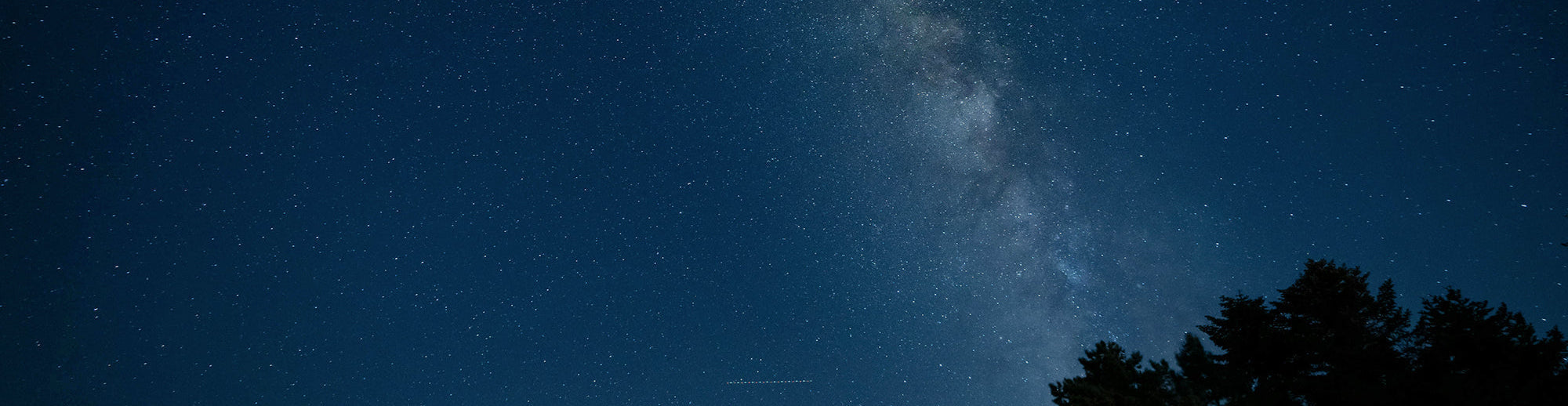Le ciel rempli d'étoiles avec des silhouettes d'arbre